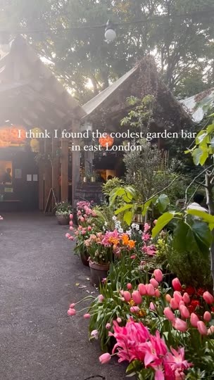 Dalston Eastern Curve Garden, June 2024