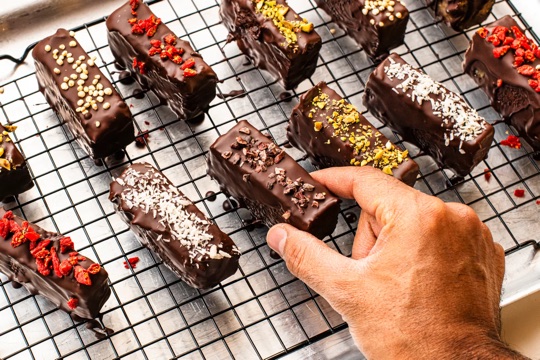 Dr Rupy's No-Bake Protein Bars