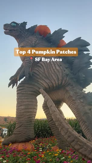 Four Bay Area pumpkin patches, including Lemos