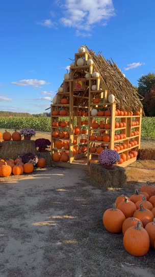 NJ fall festival weekend roundup