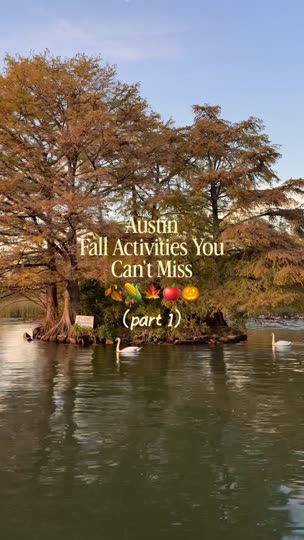 Austin fall activities roundup