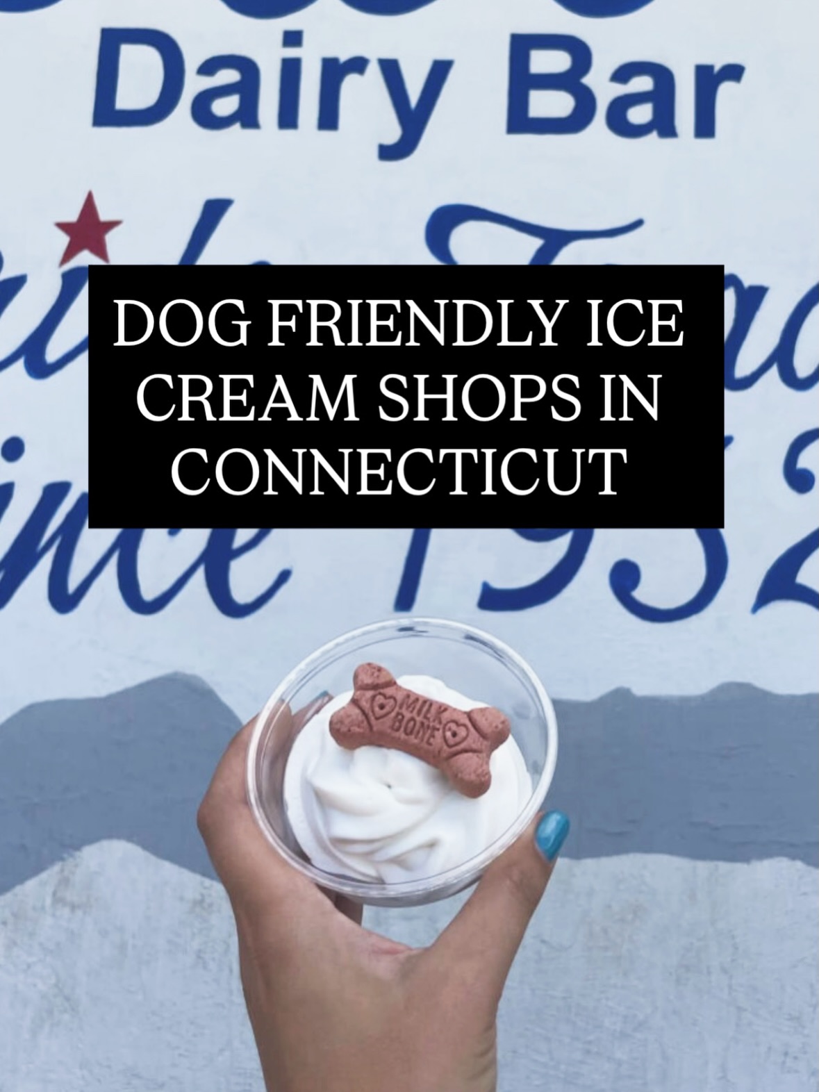 Dog-friendly ice cream spots around Connecticut